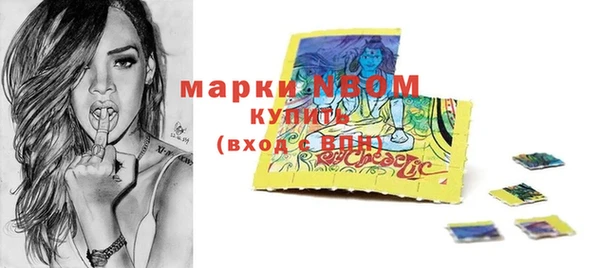 шишки Арсеньев