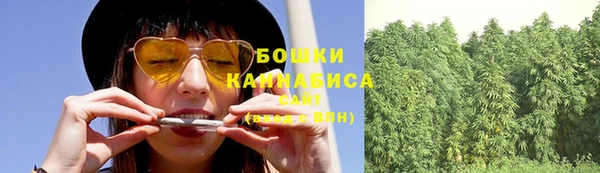 шишки Арсеньев