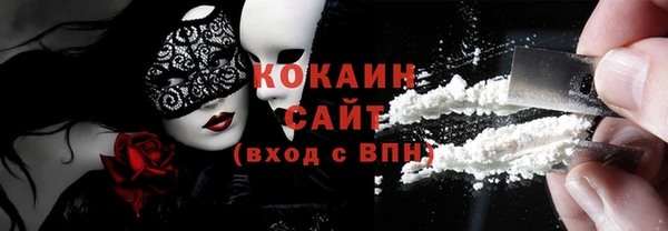 шишки Арсеньев