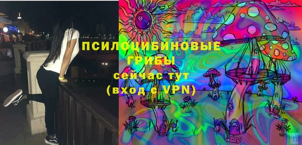 прущие грибы Армянск