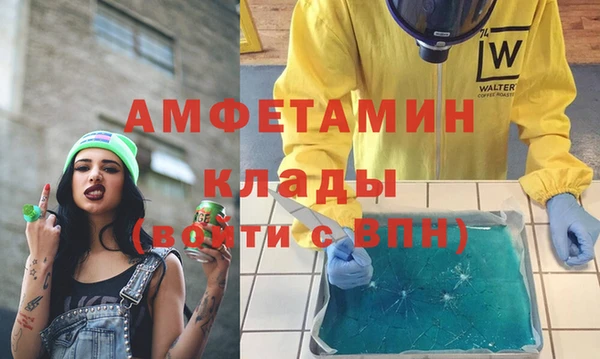 шишки Арсеньев