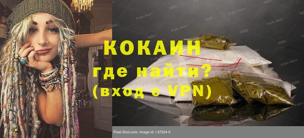 прущие грибы Армянск