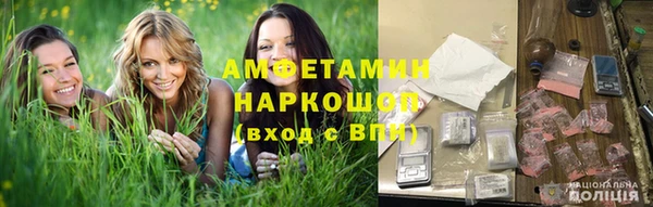 шишки Арсеньев