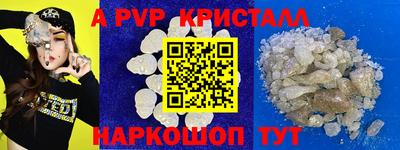 меф Кингисепп