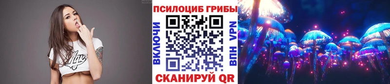 сколько стоит  Кирово-Чепецк  Псилоцибиновые грибы Cubensis 