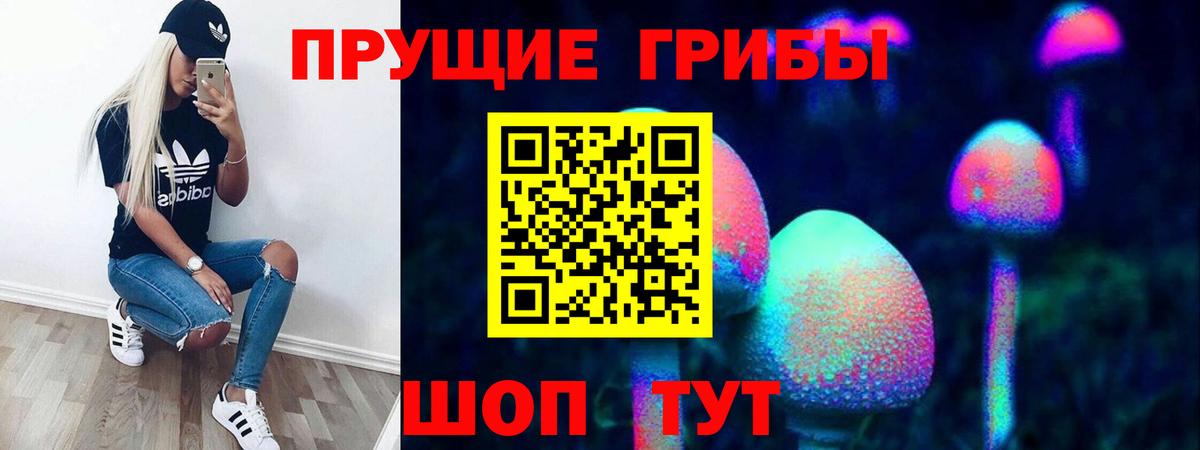 Псилоцибиновые грибы мицелий  Вход с VPN  Кирово-Чепецк 