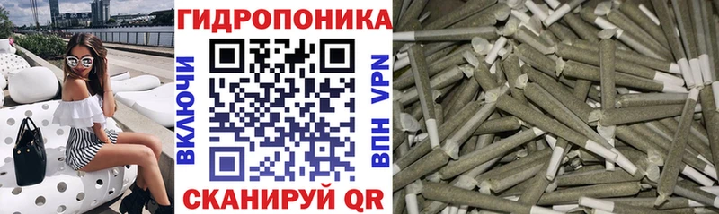 Шишки марихуана сатива Кирово-Чепецк